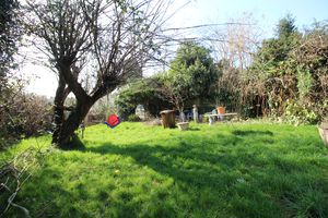 Photo 11- click for photo gallery